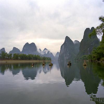 护观鸟胜地 绘美丽中国