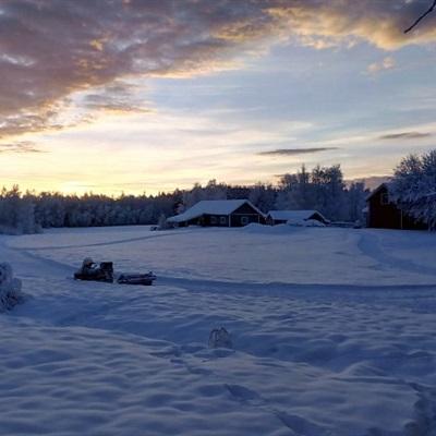 湖北应急管理部门启动低温雨雪冰冻灾害四级应急响应